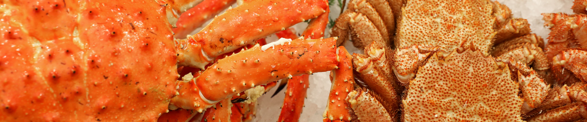 RedKingCrab